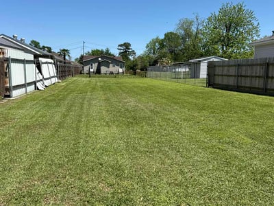 Lawn Care service in Chalmette, 70043
