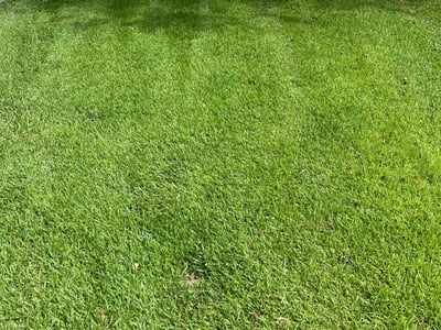 Lawn Care service in Atlantic Beach, 32233