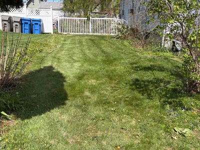Lawn Care service in Bristol, 06010