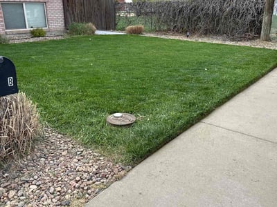 Lawn Care service in Commerce City, 80022