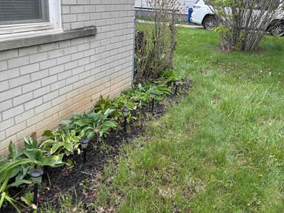 Leaf Removal service in St. Petersburg, 33701