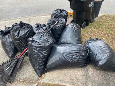 Leaf Removal service in Sanford, 32771