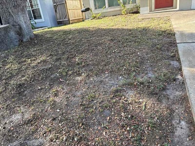 Leaf Removal service in Sanford, 32771