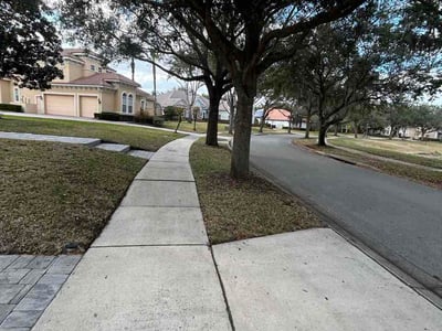 Leaf Removal service in Sanford, 32771