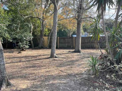 Leaf Removal service in Sanford, 32771