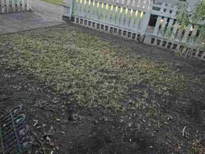 Leaf Removal service in Sanford, 32771