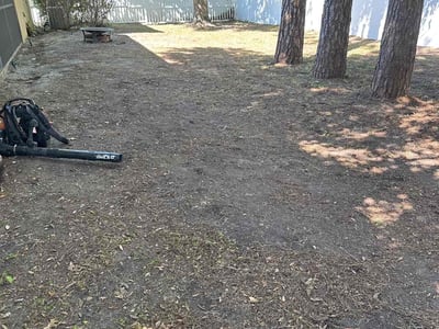 Leaf Removal service in Sanford, 32771