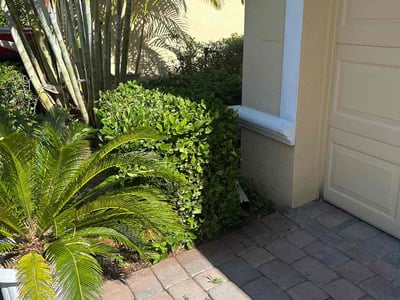Leaf Removal service in Sanford, 32771