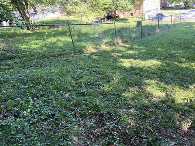 Leaf Removal service in The Villages, 32162