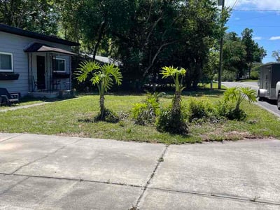 Leaf Removal service in St Cloud, 34769