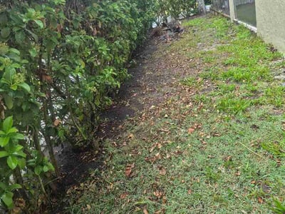 Leaf Removal service in St Cloud, 34769