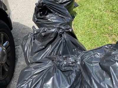 Leaf Removal service in St Cloud, 34769