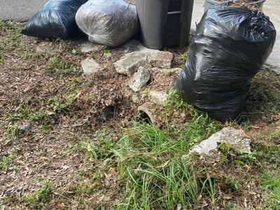 Leaf Removal service in St Cloud, 34769