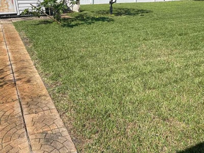 Lawn Care service in DeBary, 32713