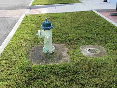 Lawn Care service in Maspeth, 11377