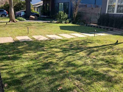 Lawn Care service in Maspeth, 11377