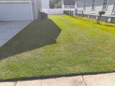 Lawn Care service in Bluffton, 29910