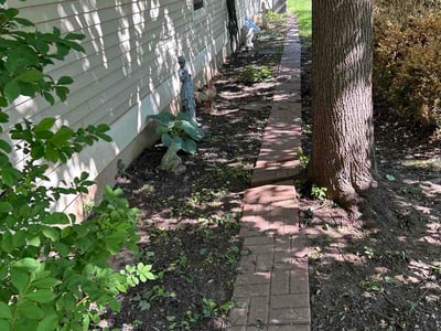 Leaf Removal service in Independence, 64050