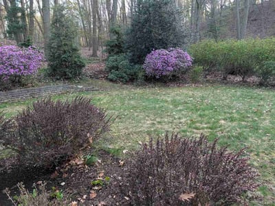 Leaf Removal service in Eagan, 55123