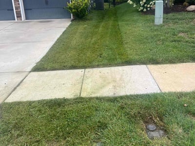 Lawn Care service in York, 29745