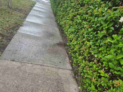 Leaf Removal service in DeLand, 32720