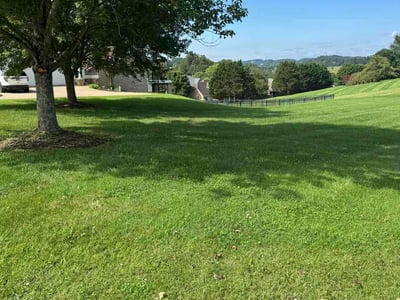 Lawn Care service in Johnson City, 37604