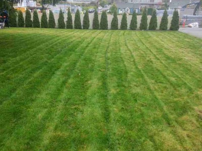 Lawn Care service in Redmond, 98052
