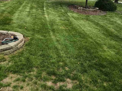 Lawn Care service in Madison Heights, 48071