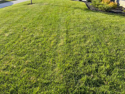 Lawn Care service in Millville, 08332