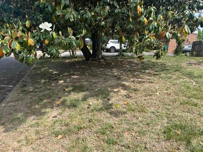 Lawn Care service in Petersburg, 23803
