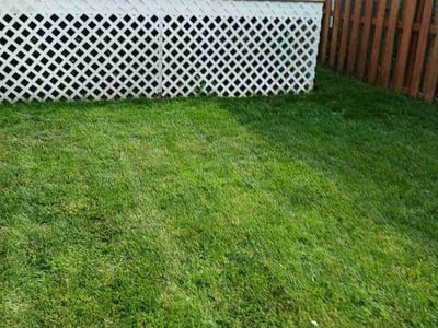 Lawn Care service in Merrifield, 22042