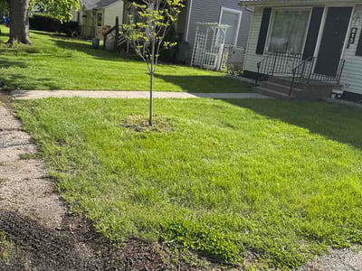 Lawn Care service in Goshen, 46526