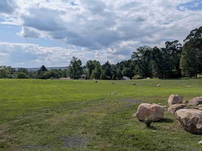 Lawn Care service in Stroudsburg, 18360