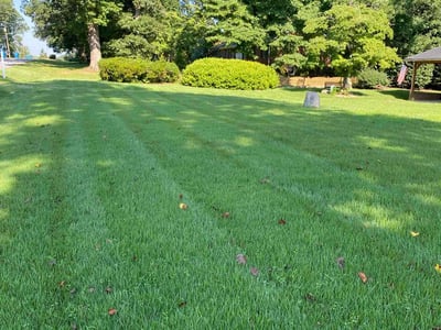 Lawn Care service in Randleman, 27317