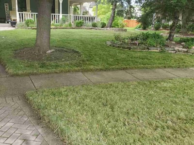 Lawn Care service in Gurnee, 60031