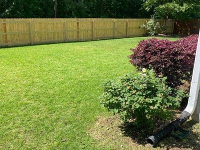 Lawn Care service in Raleigh, 27601