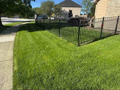 Lawn Care service in Morris, 60450