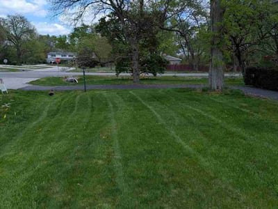 Lawn Care service in Morris, 60450