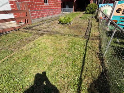 Leaf Removal service in St. Petersburg, 33701