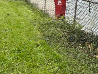 Leaf Removal service in Waterford, 48329