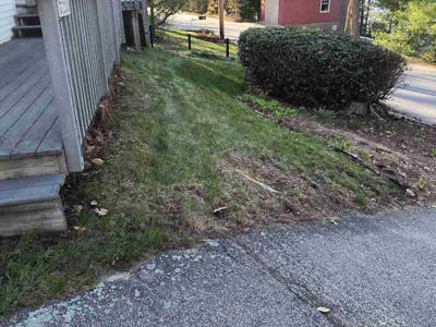 Leaf Removal service in Portland, 4101