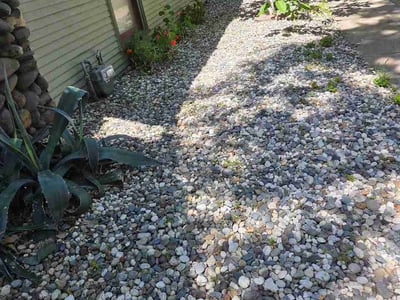 Leaf Removal service in Roseville, 95678