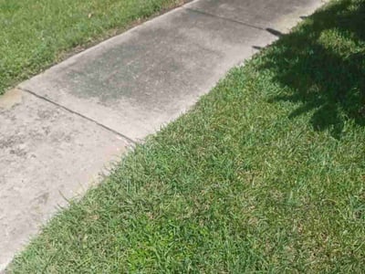 Lawn Care service in Pembroke Pines, 33026