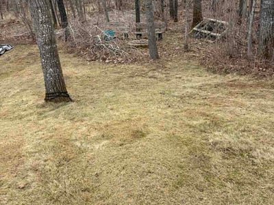 Leaf Removal service in Roseville, 55113