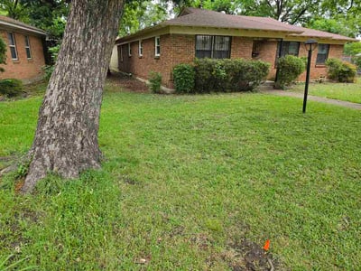 Leaf Removal service in Rockwall, 75087
