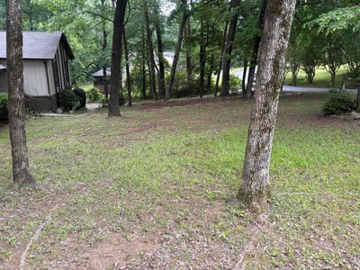 Leaf Removal service in Moncks Corner, 29461