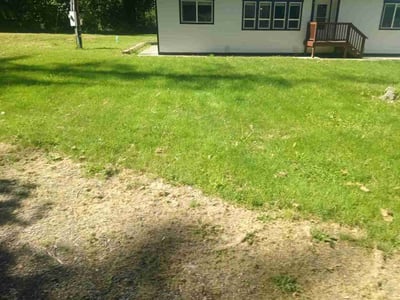 Lawn Care service in Olympia, 98501