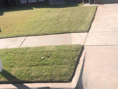 Lawn Care service in Middle Village, 11379