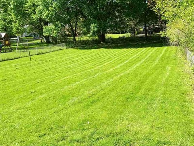 Lawn Care service in Forest Hills, 11375