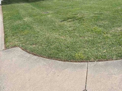 Lawn Care service in Forest Hills, 11375